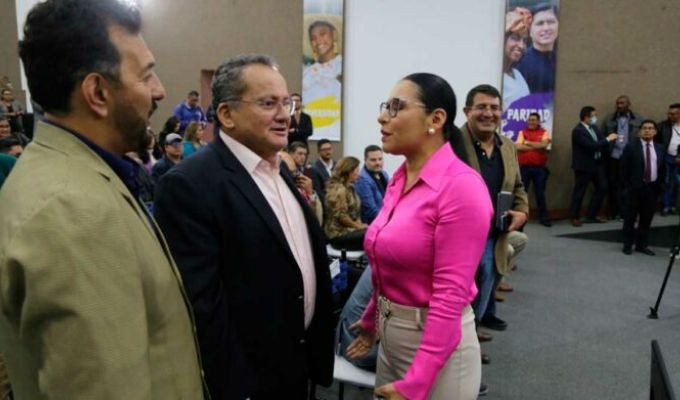 Más de 79 milones costarán las elecciones anticipadas.