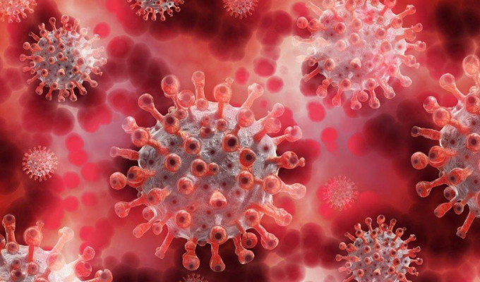 Nuevo virus descubierto en la enigmática Fosa de las Marianas