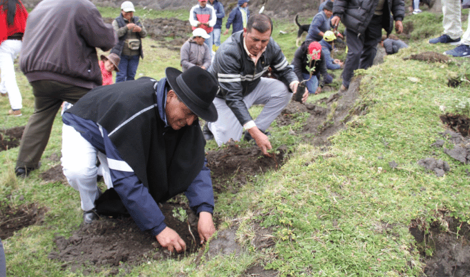 Tungurahua en acción: Campaña verde "Minga por el planeta" 🌳