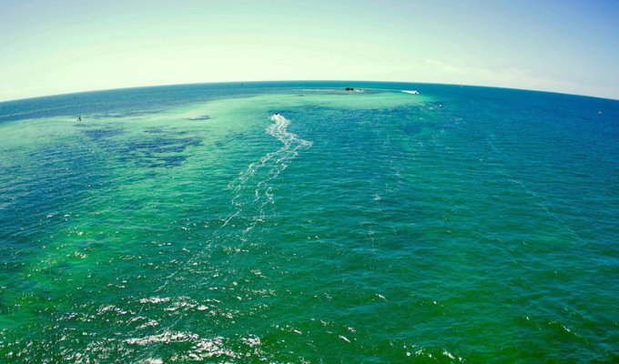 ¡Alerta Verde! Océanos Cambian de Color por Calentamiento Global