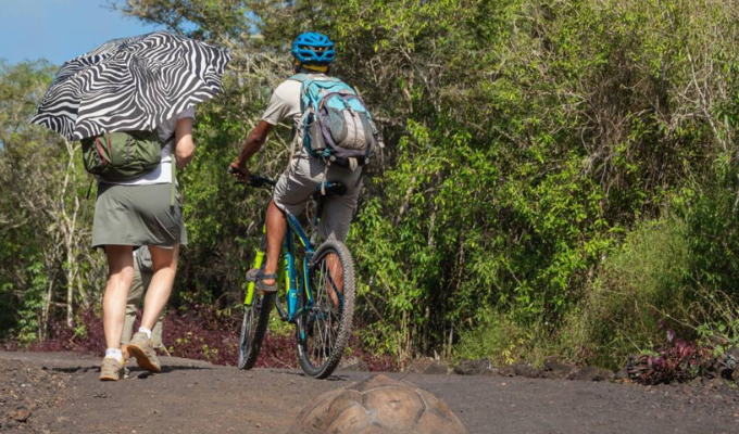 Seguridad en Galápagos en entredicho: turista polaca víctima de abuso
