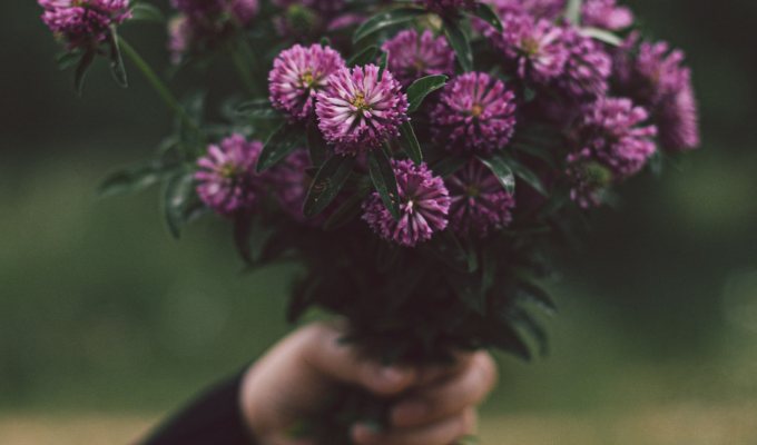 9 de octubre: ¡Regala flores moradas y únete a la tendencia!
