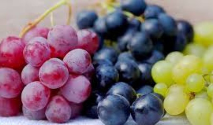 Uvas: El secreto de la buena visión en adultos mayores