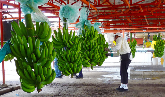 300 millones para mipymes en Ecuador