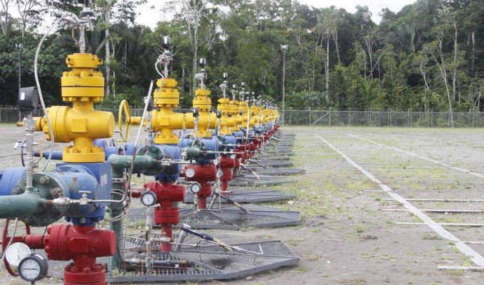 Petroecuador advierte pérdidas millonarias por consulta del Yasuni