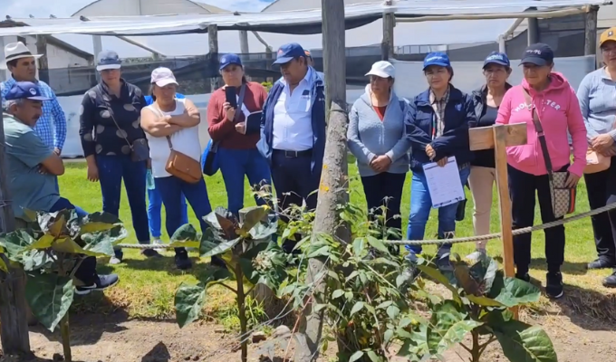 Productores de Huambalito Descubren Secretos Agroecológicos