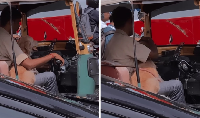 Hombre en India conmueve con tierno gesto hacia su cachorro en moto