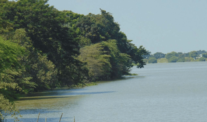 ¡Alerta en Ecuador! Cuenca del río Daule en peligro