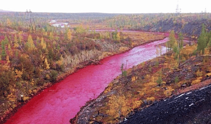 Misterio Resuelto: El Río Nilo se Viste de Rojo Sangre