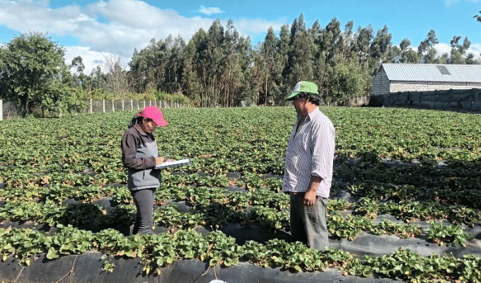 Futuro Agrícola de Ecuador: Tungurahua Inicia Levantamiento de Datos