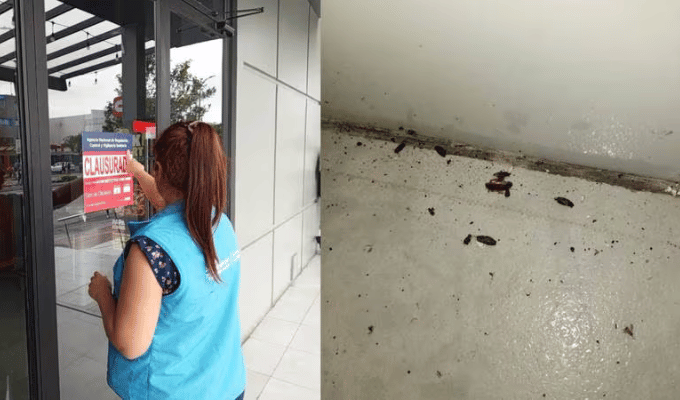 Clausuran Pizzería en Guayaquil por Insalubridad y Cucarachas