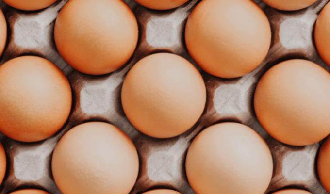Fin de Producción de Huevos Indaves: Impacto en el Mercado Nacional