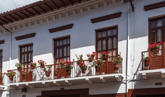 Quito Florece: La Iniciativa de Vitality que Embellece la Ciudad