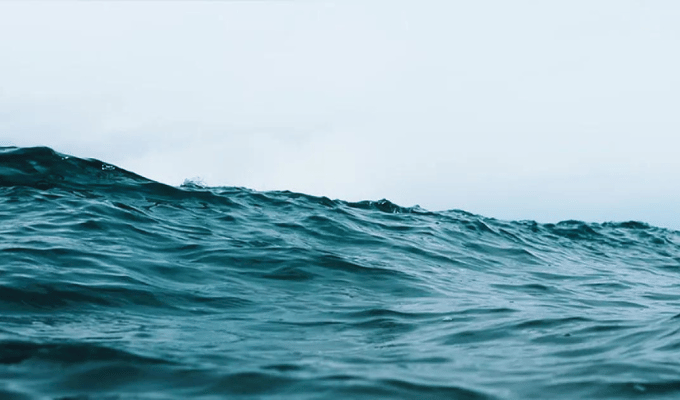 Estudio Vincula Desoxigenación con Riesgo de Extinción Masiva Oceánica