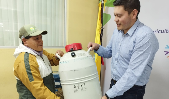 Productores Bovinos de Tungurahua se Benefician de Núcleos Genéticos