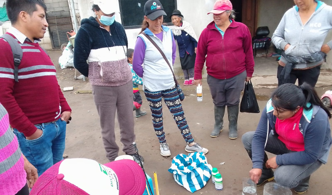 Capacitaciones Mejoran Producción de Aguacates en Tungurahua