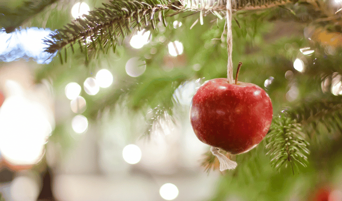 4 Opciones para Equilibrar la Dieta en Diciembre